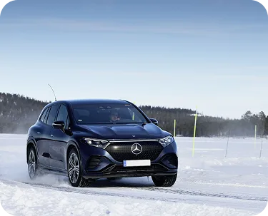 Premium Winter Fleet